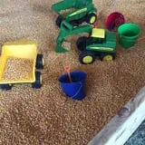 Partin Ranch Corn Maze photo