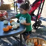 Partin Ranch Corn Maze photo