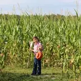 Partin Ranch Corn Maze photo