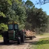 Partin Ranch Corn Maze photo
