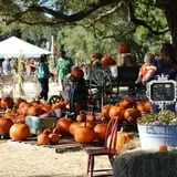 Partin Ranch Corn Maze photo