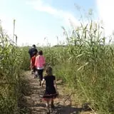 Partin Ranch Corn Maze photo