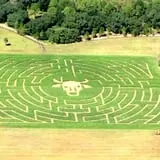 Partin Ranch Corn Maze photo