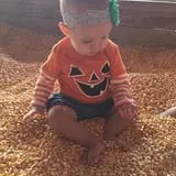 Partin Ranch Corn Maze photo