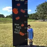 Partin Ranch Corn Maze photo