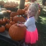 Partin Ranch Corn Maze photo
