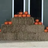 Partin Ranch Corn Maze photo