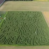 Frankenmuth Corn Maze photo