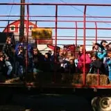 Frankenmuth Corn Maze photo