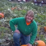 Frankenmuth Corn Maze photo