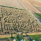 Frankenmuth Corn Maze photo
