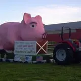 Frankenmuth Corn Maze photo