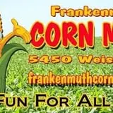 Frankenmuth Corn Maze photo