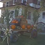 Frankenmuth Corn Maze photo