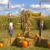 Frankenmuth Corn Maze photo