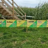 Frankenmuth Corn Maze photo