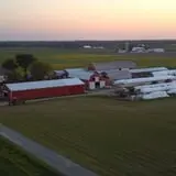 Frankenmuth Corn Maze photo