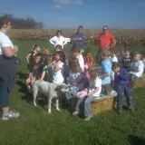 Frankenmuth Corn Maze photo