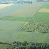 Frankenmuth Corn Maze photo