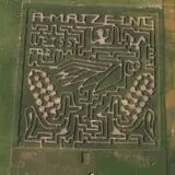Frankenmuth Corn Maze photo