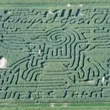 Frankenmuth Corn Maze photo