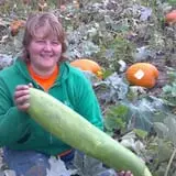 Frankenmuth Corn Maze photo