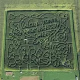 Frankenmuth Corn Maze photo