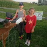 Frankenmuth Corn Maze photo