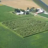 Frankenmuth Corn Maze photo