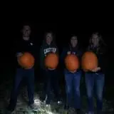 Frankenmuth Corn Maze photo