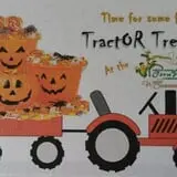 Frankenmuth Corn Maze photo