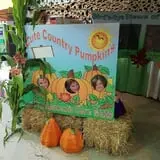 Frankenmuth Corn Maze photo