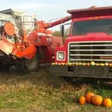 Frankenmuth Corn Maze photo