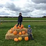 Frankenmuth Corn Maze photo