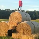 Frankenmuth Corn Maze photo