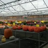 Andy T's Farm Market photo