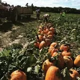 Andy T's Farm Market photo
