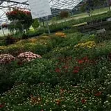 Andy T's Farm Market photo