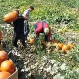 Andy T's Farm Market photo