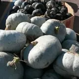 Andy T's Farm Market photo