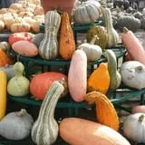 Andy T's Farm Market photo