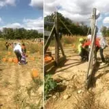 Andy T's Farm Market photo