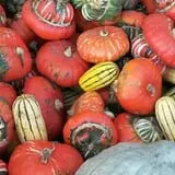 Andy T's Farm Market photo