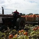Andy T's Farm Market photo