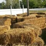 Andy T's Farm Market photo
