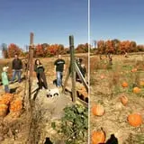 Andy T's Farm Market photo