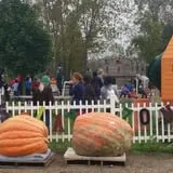 Andy T's Farm Market photo