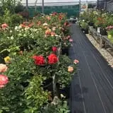 Andy T's Farm Market photo
