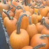 Andy T's Farm Market photo