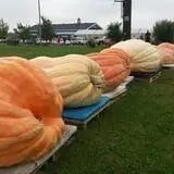 Andy T's Farm Market photo